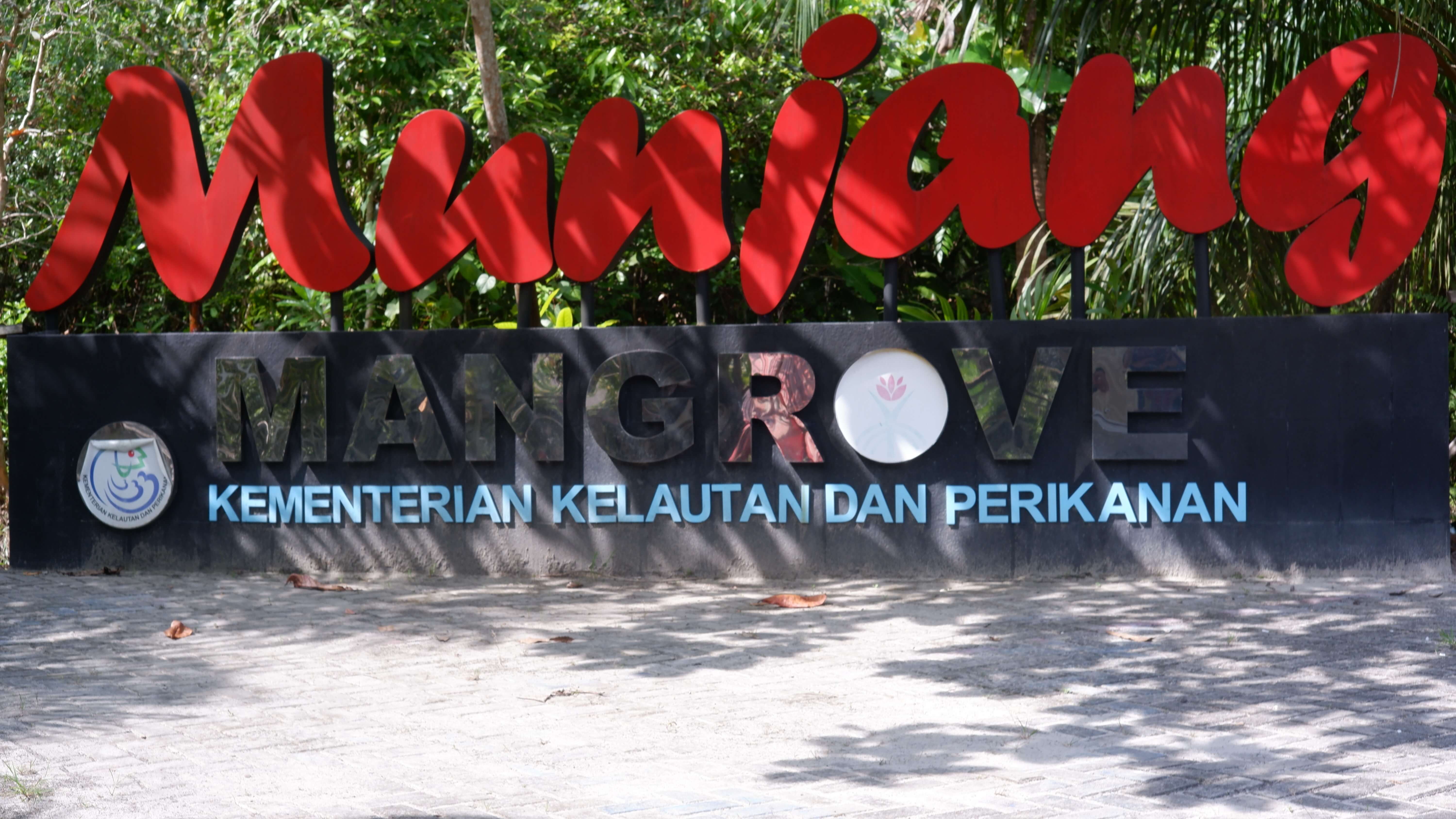 mangrove munjang